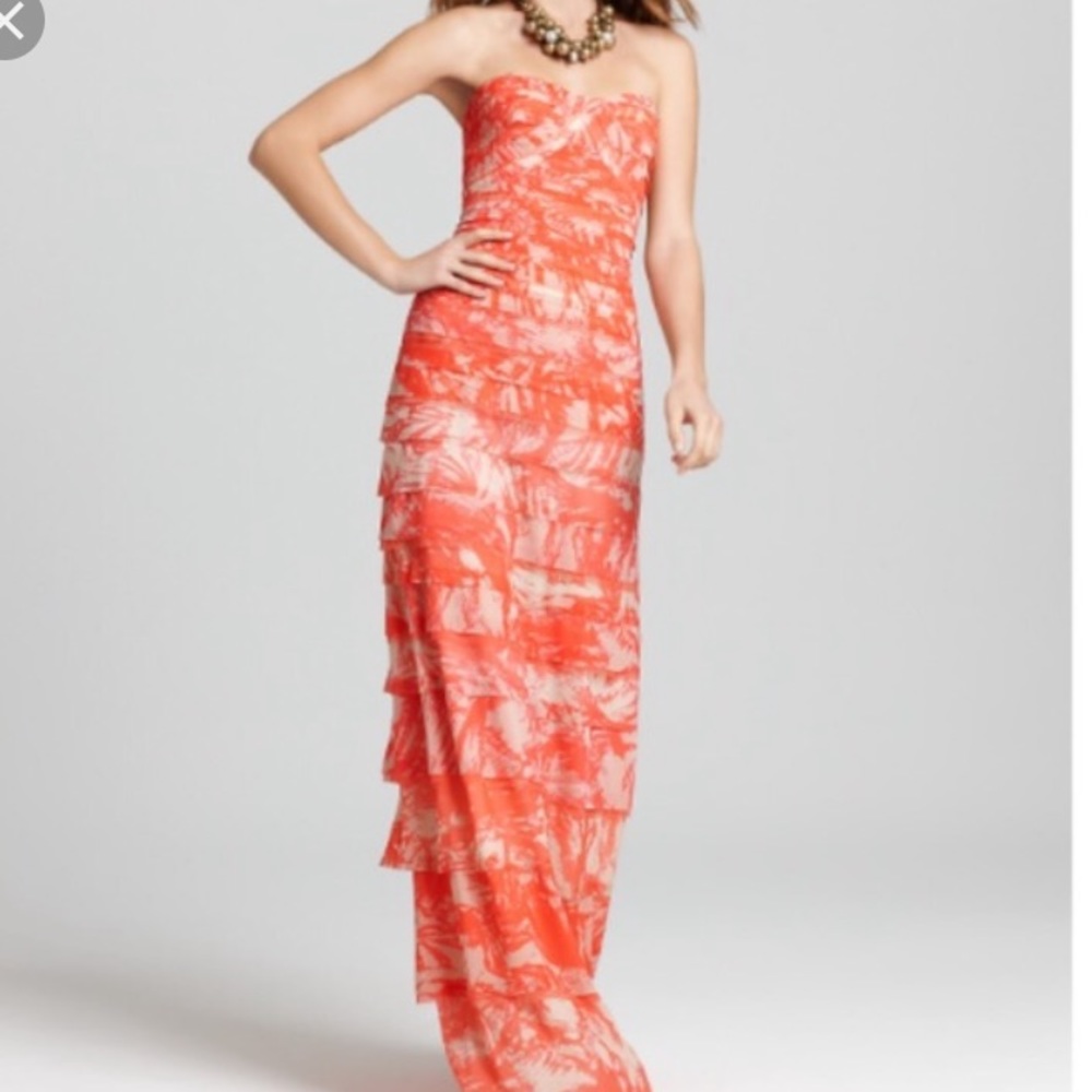 BCBG Coral Gown/Maci Dress